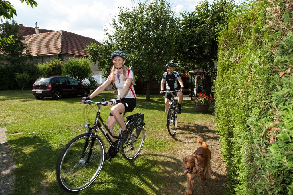 Gaestehaus Ferk - Fruehstueckspension, Bed & Breakfast Bad Radkersburg Luaran gambar